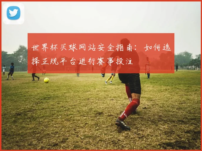 世界杯买球网站安全指南：如何选择正规平台进行赛事投注