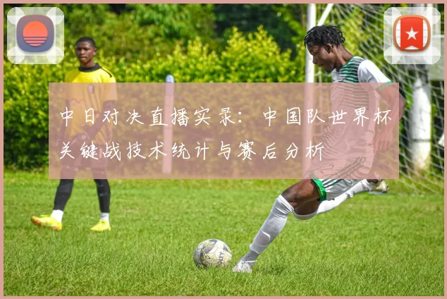 中日对决直播实录：中国队世界杯关键战技术统计与赛后分析