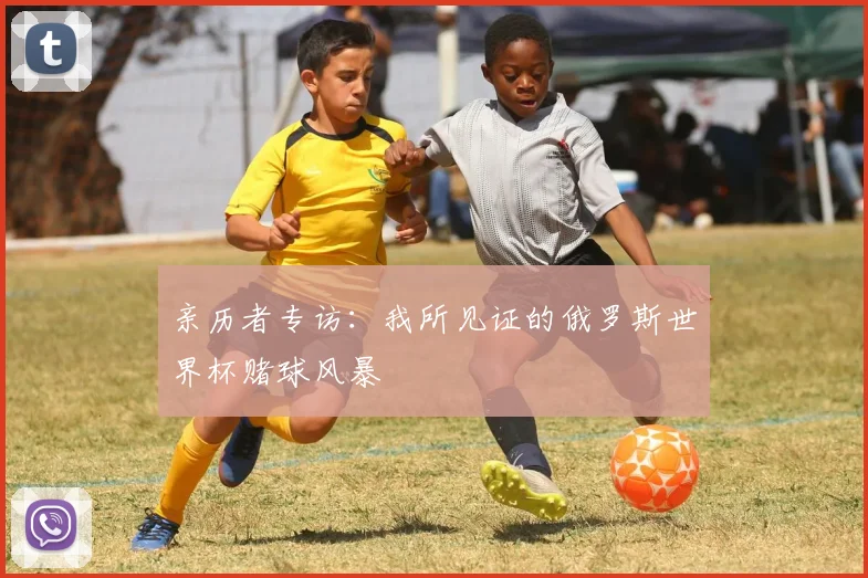 亲历者专访：我所见证的俄罗斯世界杯赌球风暴